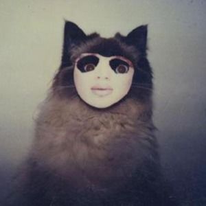 Meet your Posher, Melanie